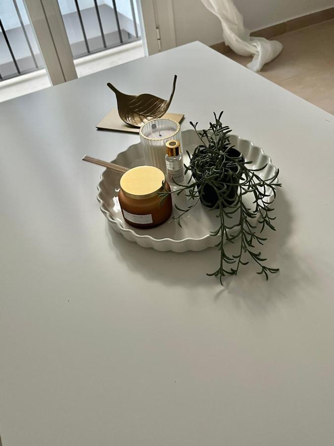 Sherry Suites VI Apartamentos Parking Gratuito جيريز المظهر الخارجي الصورة