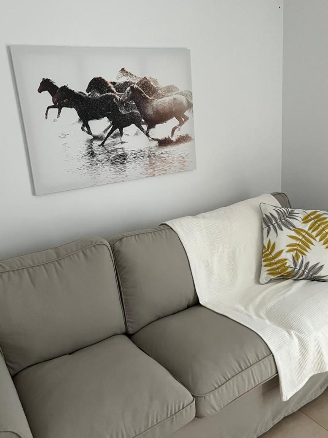 Sherry Suites VI Apartamentos Parking Gratuito جيريز المظهر الخارجي الصورة